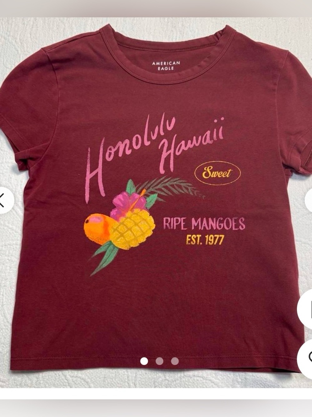American Eagle Outfitters Maroon Honolulu Hawaii Fruit Graphic Tee
